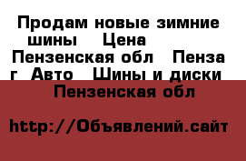 Продам новые зимние шины  › Цена ­ 2 000 - Пензенская обл., Пенза г. Авто » Шины и диски   . Пензенская обл.